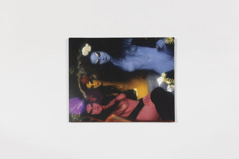 THE WALL OF VAGINA - Kembra Pfahler