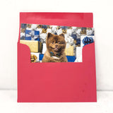 Bertie Bert the Pom Holiday Card
