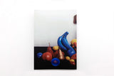 NATURE MORTE Exhibition Catalogue