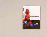 NATURE MORTE Exhibition Catalogue